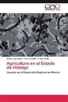 Pedr Castillo, Pedro Castillo, Blanca Lu Castro, Blanca Luz Castro, Liliana Sordo - Agricultura en el Estado de Hidalgo