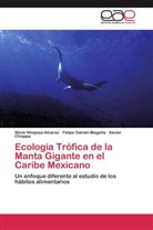 Chi, Xavier Chiappa, Felip Galván-Magaña, Felipe Galván-Magaña, Silvi Hinojosa-Alvarez, Silvia Hinojosa-Alvarez - Ecología Trófica de la Manta Gigante en el Caribe Mexicano