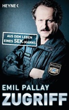 Emil Pallay - Zugriff