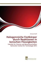 Michael Wolff, Michael Frank Alexander Wolff - Halogenreiche Festkörper durch Reaktionen in Ionischen Flüssigkeiten