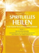 Diethard Stelzl - Spirituelles Heilen - 2: Übungsprogramm zur Entwicklung von Heilerfähigkeiten und praktische Arbeitsanleitung