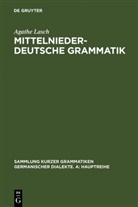 Agathe Lasch - Mittelniederdeutsche Grammatik