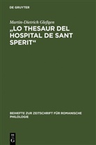 Martin-Dietrich Gleßgen - "Lo Thesaur del Hospital de Sant Sperit"