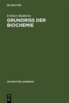 Eckhart Buddecke - Grundriss der Biochemie