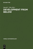 Davi C Pitt, David C Pitt, David C. Pitt - Development from Below