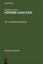 Friedrich Junker - Friedrich Junker: Höhere Analysis - Teil 1: Differentialrechnung