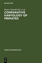 Giuseppe Ardito, Bruno Chiarelli, Ann L. Koen, An L Koen, Ann L Koen - Comparative Karyology of Primates