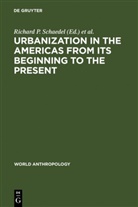 Jorg E Hardoy, Jorge E Hardoy, Jorge E. Hardoy, Richard P. Schaedel, Nora Scott-Kinzer - Urbanization in the Americas from its Beginning to the Present