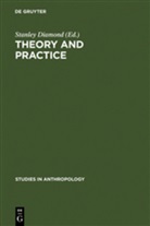 Stanle Diamond, Stanley Diamond - Theory and Practice