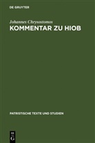 Johannes Chrysostomos, Johannes Chrysostomos, Johannes Chrysostomos, Johannes Chrysostomus, Dieter Hagedorn, Ursula Hagedorn - Kommentar zu Hiob