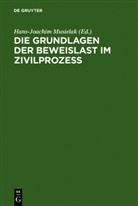 Hans-Joachim Musielak - Die Grundlagen der Beweislast im Zivilprozeß