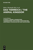 Ludwig Böhmig - Das Tierreich / The Animal Kingdom - VI/Band 2: Krebse, Spinnentiere, Tausendfüßer, Weichtiere, Moostierchen, Armfüßer, Stachelhäuter und Manteltiere