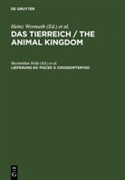 Deutsche Zoologische Gesellschaft, Richard Hesse, Maximilian Holly, Robert Mertens, Robert Mertens u a, Franz Eilhard Schulze... - Das Tierreich / The Animal Kingdom - Lieferung 63: Pisces 3: Crossopterygii