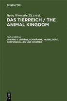 Ludwig Böhmig - Das Tierreich / The Animal Kingdom - VI/Band 1: Urtiere, Schwämme, Nesseltiere, Roppenquallen und Würmer