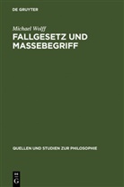 Michael Wolff - Fallgesetz und Massebegriff