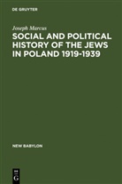 Joseph Marcus - Social and Political History of the Jews in Poland 1919-1939