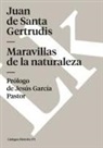 Juan de Santa Gertrudis, Juan De Santa Gertrudis - Maravillas de la naturaleza