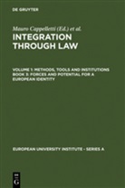 Mauro Cappelletti, Monica Seccombe, Joseph H. Weiler - Integration through Law, in 6 Vols. - 1/3: Forces and Potential for a European Identity