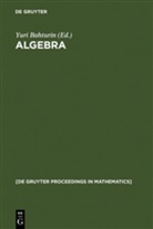 Yur Bahturin, Yuri Bahturin - Algebra