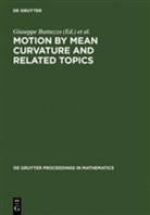 Giusepp Buttazzo, Giuseppe Buttazzo, Visintin, Visintin, Augusto Visintin - Motion by Mean Curvature and Related Topics