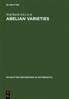 Wolf Barth, Wolf P. Barth, Klau Hulek, Klaus Hulek, Herbert Lange - Abelian Varieties