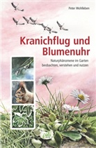Schneevo, Margret Schneevoigt, Peter Wohlleben, Margret Schneevoigt, Margret Ill. v. Schneevoigt, Umschlaggest. v. Sch - Kranichflug und Blumenuhr