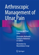Francisco del Pi&ntilde;al, Christoph Mathoulin, Christophe Mathoulin, Toshiyasu Nakamura, Francisco del Pi&ntilde;al - Arthroscopic Management of Ulnar Pain