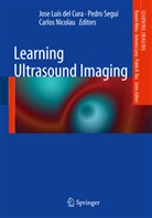 Jose L. del Cura, Jose Luís del Cura, Jose Luís del Cura, Carlos Nicolau, Pedro Segui, Pedr Seguí... - Learning Ultrasound Imaging