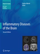 Stefa Hähnel, Stefan Hähnel - Inflammatory Diseases of the Brain
