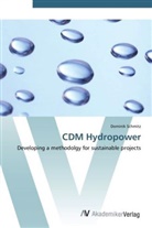 Dominik Schmitz - CDM Hydropower