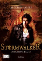 Allyson James - Stormwalker - Durch das Feuer