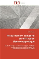 Gilles Micolau, Micolau-g - Retournement temporel en