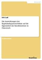 Erik Ludl - Die Auswirkungen der Kapitaladäquanzrichtlinie auf die Eigenmittel der Kreditinstitute in Österreich