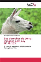 Rene Patricio Aguilera Barraza - Los derechos de tierra indígena post Ley Nº 19.253