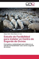 Gladys Esther María Ramos Cornejo - Estudio de Factibilidad para instalar un Centro de Engorde de Ovinos