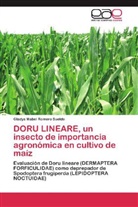 Gladys Mabel Romero Sueldo - DORU LINEARE, un insecto de importancia agronómica en cultivo de maíz