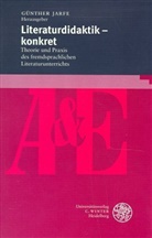 Literaturdidaktik, konkret