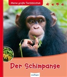 Stéphane Frattini - Der Schimpanse
