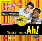 Ralph Caspers, Shary Reeves - Wissen mach Ah! , Verblüffende Alltagsphänomene, 1 Audio-CD (Audio book)
