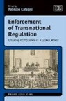 Fabrizio Cafaggi, Fabrizio Cafaggi - Enforcement of Transnational Regulation