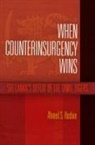 Ahmed Hashim, Ahmed S Hashim, Ahmed S. Hashim - When Counterinsurgency Wins
