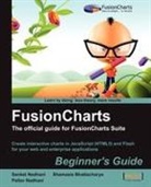 Shamasis Bhattacharya, Pallav Nadhani, Sanket Nadhani - Fusioncharts Beginner's Guide
