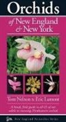 Eric Lamont, Tom Nelson - Orchids of New England & New York