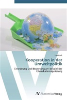 Lars Koch - Kooperation in der Umweltpolitik