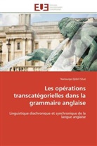 Nanourgo Djibril Silué, Silue-N - Les operations transcategorielles