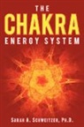 Sarah A. Schweitzer, Sarah A. Schweitzer Ph. D. - The Chakra Energy System