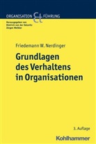 Nerding, Friedemann W Nerdinger, Friedemann W. Nerdinger, Dietrich von de Oelsnitz, Dietrich von der Oelsnitz, Jürge Weibler... - Grundlagen des Verhaltens in Organisationen