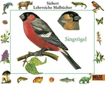 Erwin Eigner, Ina Etschmann, Walter Etschmann, Ina Etschmann, Walter Etschmann - Singvögel Malbuch