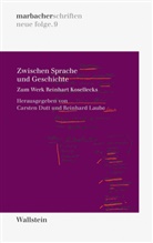 Ulrich von Bülow, Carste Dutt, Carsten Dutt, Laube, Laube, Reinhard Laube... - Zwischen Sprache und Geschichte