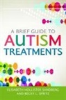Malorie L Dimler, Elisabeth Hollister Sandberg, Elisabeth L, Jill Myerow Myerow Bloom, San, Elisabeth Hollister Sandber... - A Brief Guide to Autism Treatments